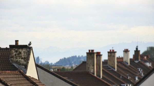 Les meilleurs couvreurs à Joué-lès-Tours pour vos projets